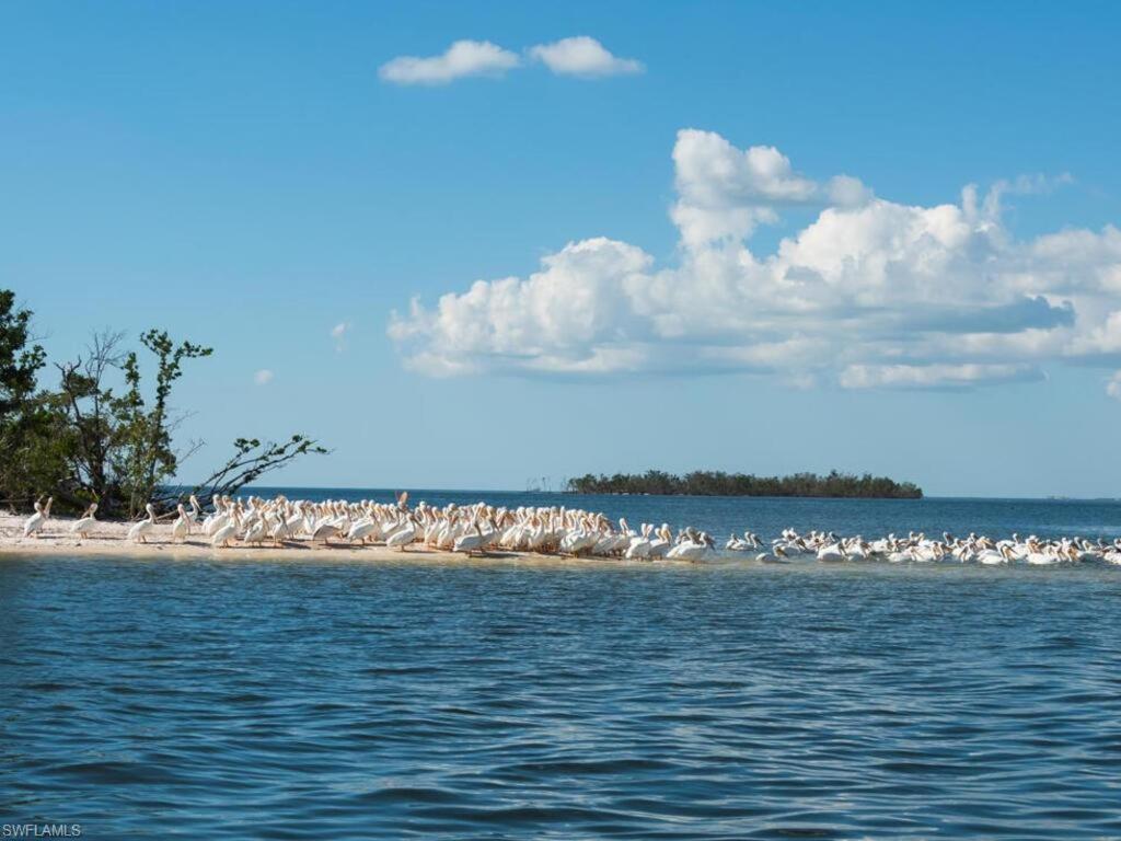 Marina Getaway On The Water! Διαμέρισμα North North Naples Εξωτερικό φωτογραφία